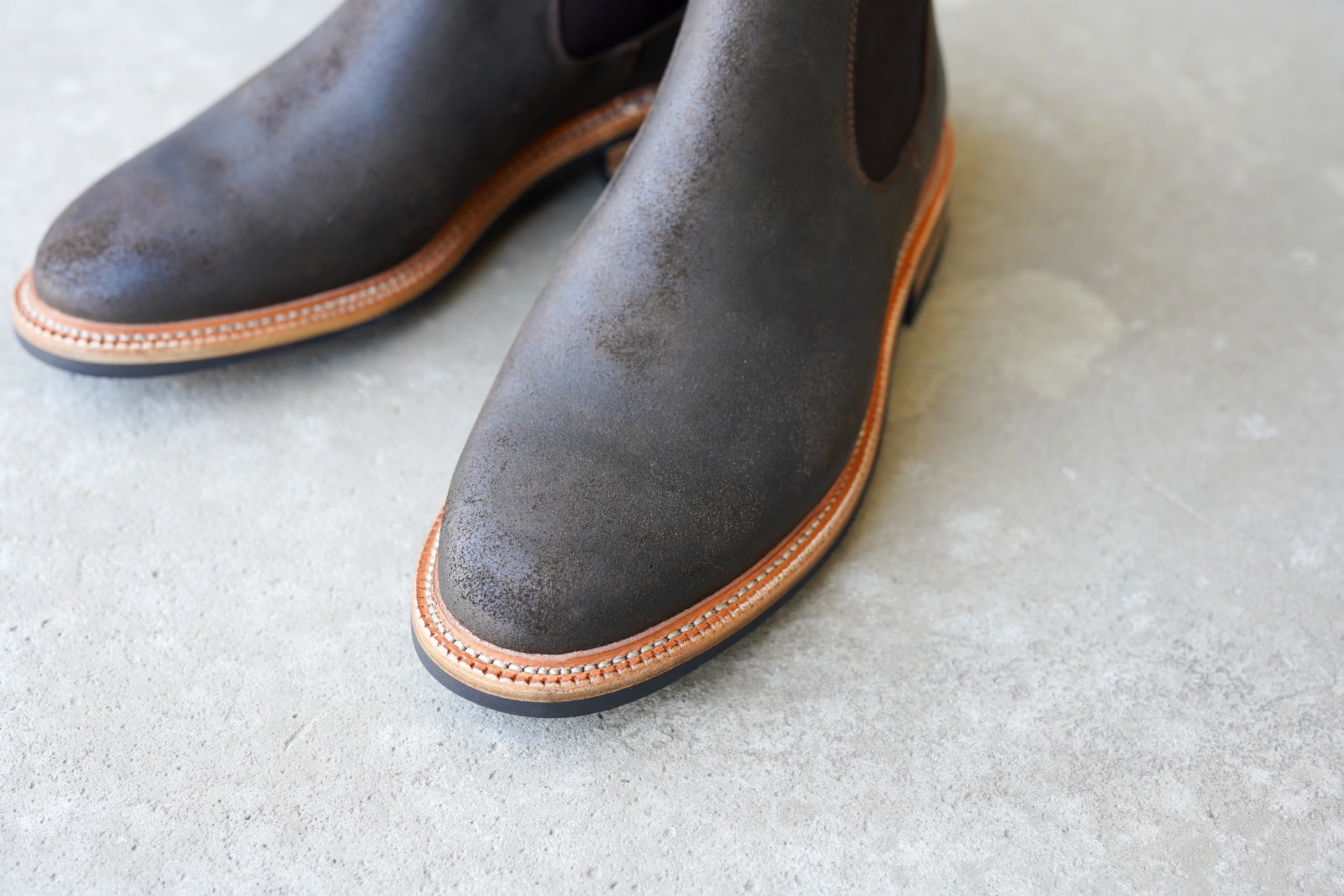 The Elmwood - Laurel Waxy Commander (618) - Image 4